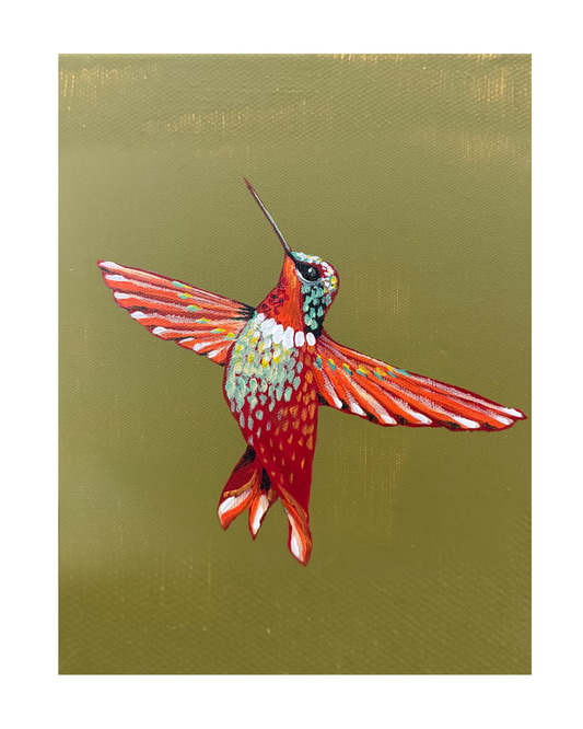 Hummingbird 4