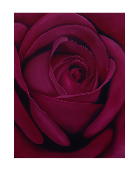 Magenta Bloom